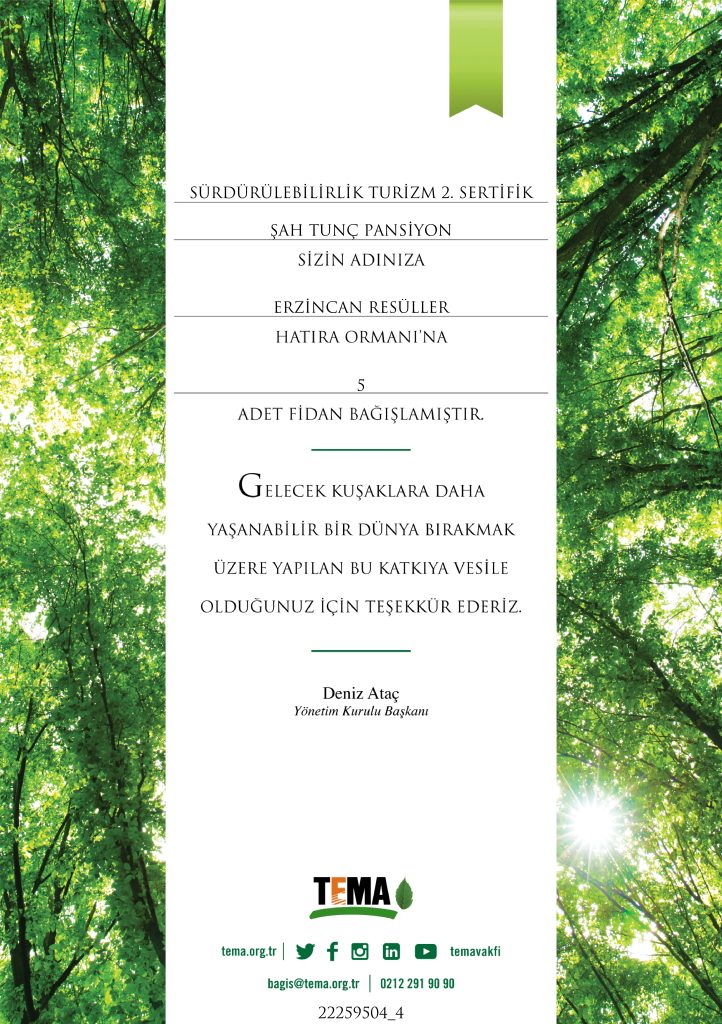 sen-kardesler-mermer-ve-granit